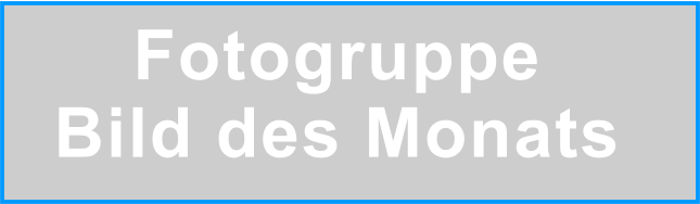 Fotogruppe Bild des Monats